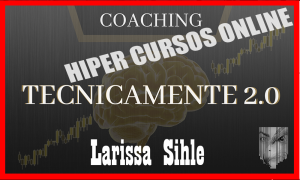 Tecnicamente 2.0 – Larissa Sihle 2020.1