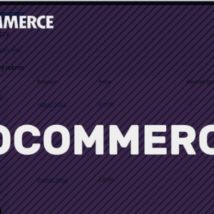 WordPress WooCommerce Essencial – Ricardo Aleixo 2020.1