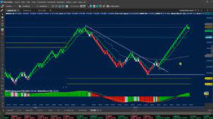 Regina Trader Renko - marketing digital - rateio de cursos